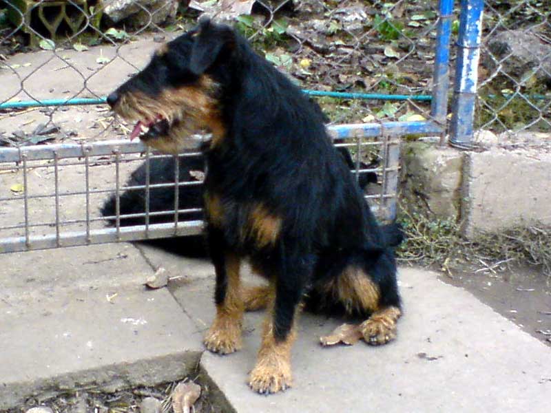 Britta